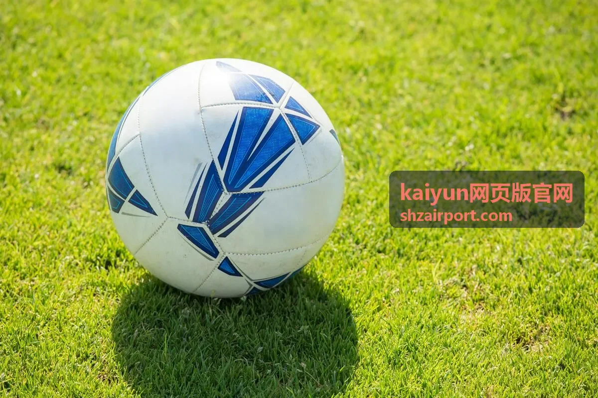 kaiyun网页版官网界面功能入口示意