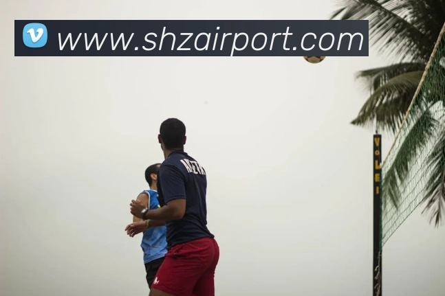 多媒体互动体验